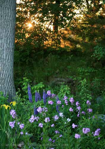 Jones Creek Area IMG 2987