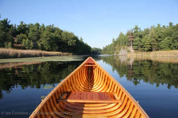 Jones Creek Area IMG 4869