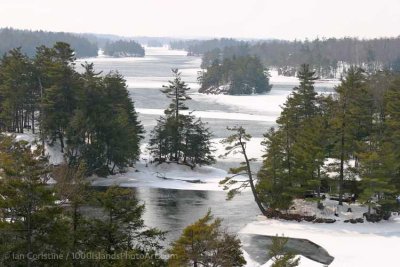 shoppingcart-thumb-image