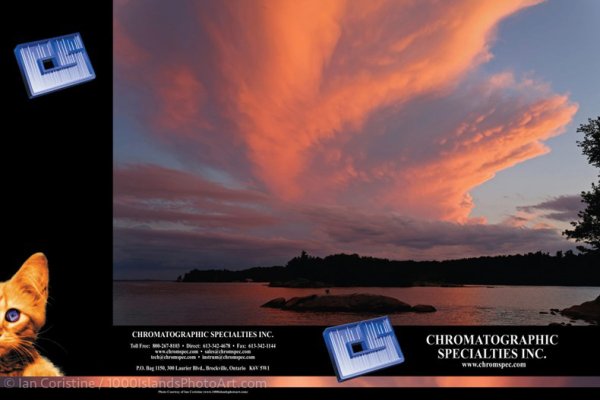 img-responsive