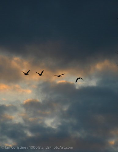 Moods IMG 9690