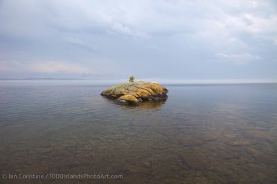 shoppingcart-thumb-image