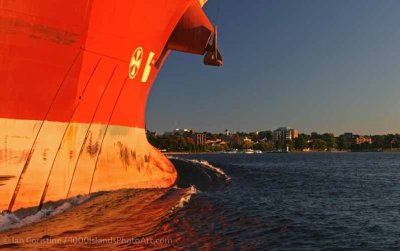 shoppingcart-thumb-image