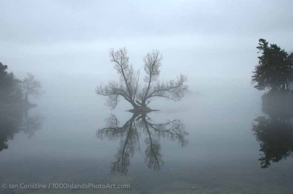 Jones Creek Area 5DIMG 1978