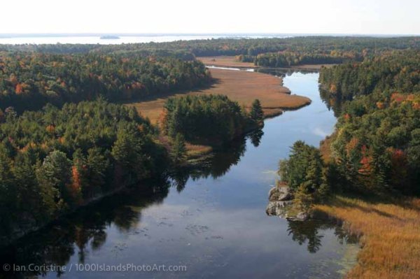 Jones Creek Area IMG 8307