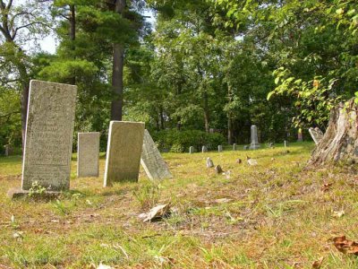 shoppingcart-thumb-image