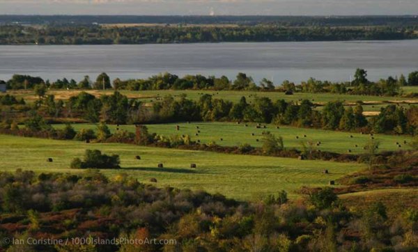 Wolfe Island & Area IMG 7685 DxO