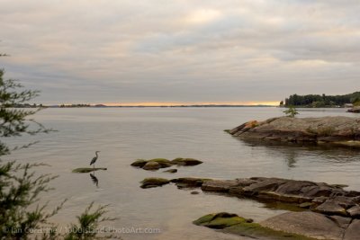 shoppingcart-thumb-image