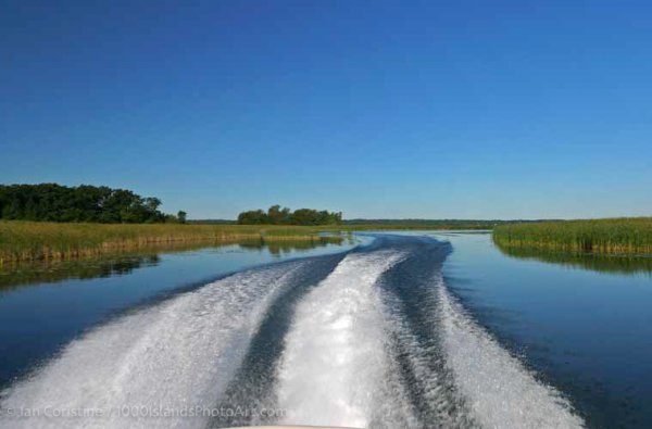 Grenadier Island & Area WWS P 106 DxO