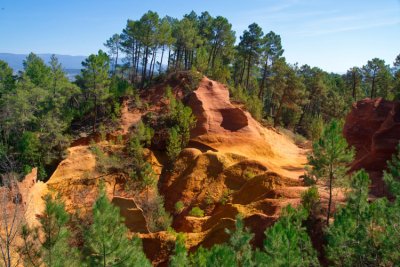 shoppingcart-thumb-image