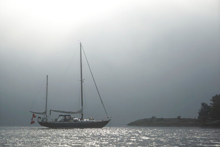 Boats DSC06388