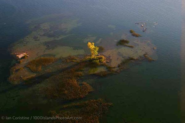 Grindstone & Area WWS P 12 DxO