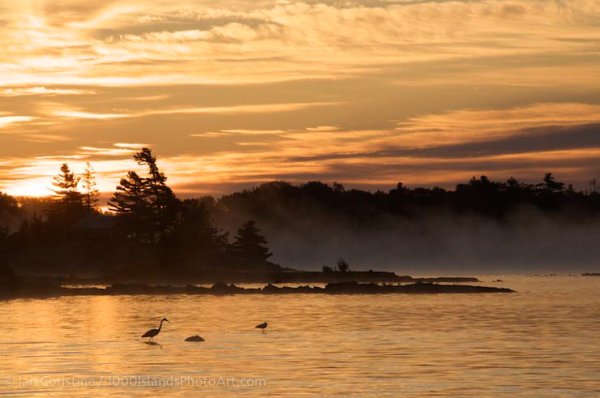 img-responsive