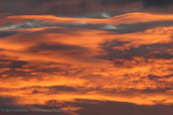 Jones Creek Area IMG 5295