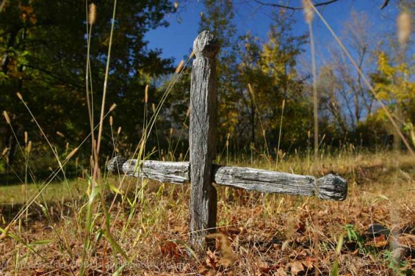 Grenadier Island & Area IMG 9443