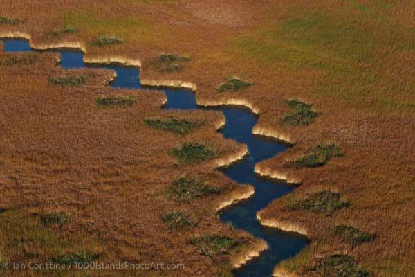 OCC Exhibition WWS p 73 DxO