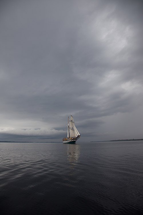 Tall Ships  MG 6052